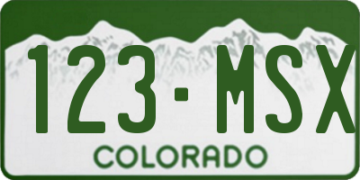 CO license plate 123MSX