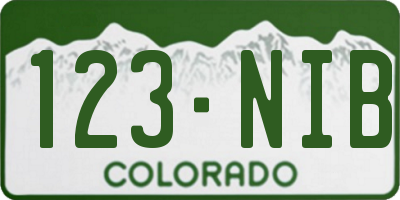 CO license plate 123NIB