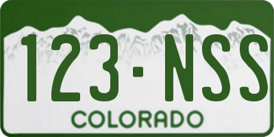 CO license plate 123NSS