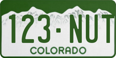 CO license plate 123NUT