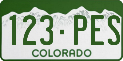 CO license plate 123PES