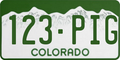 CO license plate 123PIG