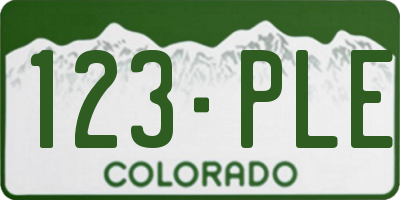 CO license plate 123PLE
