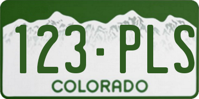CO license plate 123PLS
