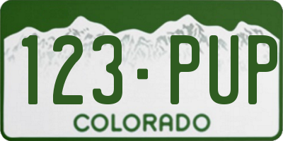 CO license plate 123PUP