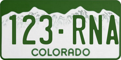 CO license plate 123RNA