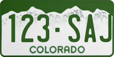 CO license plate 123SAJ