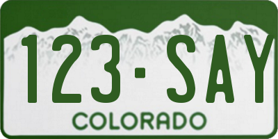 CO license plate 123SAY