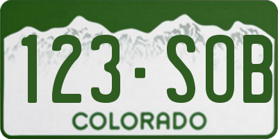 CO license plate 123SOB