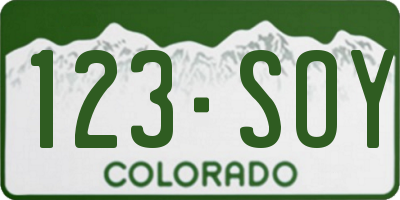 CO license plate 123SOY