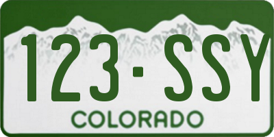 CO license plate 123SSY