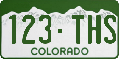 CO license plate 123THS