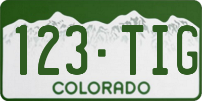 CO license plate 123TIG