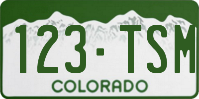 CO license plate 123TSM