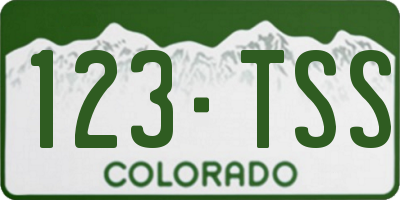 CO license plate 123TSS