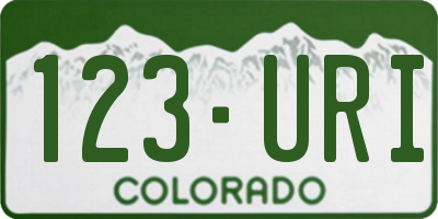 CO license plate 123URI