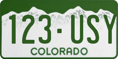 CO license plate 123USY