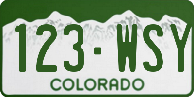 CO license plate 123WSY