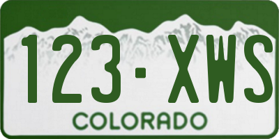 CO license plate 123XWS