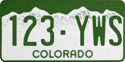CO license plate 123YWS