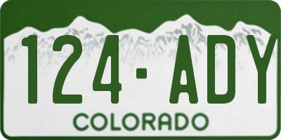 CO license plate 124ADY