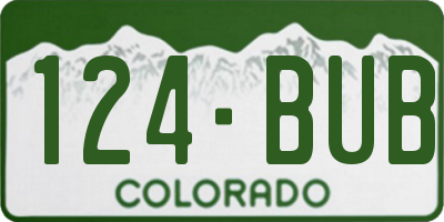 CO license plate 124BUB
