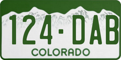 CO license plate 124DAB
