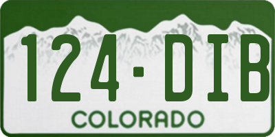 CO license plate 124DIB