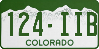 CO license plate 124IIB