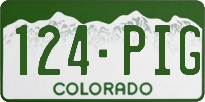 CO license plate 124PIG