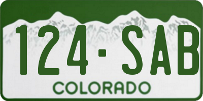CO license plate 124SAB