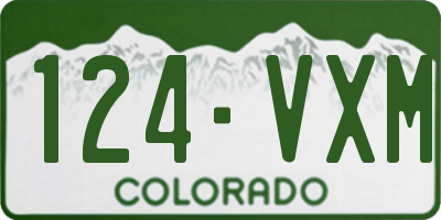 CO license plate 124VXM