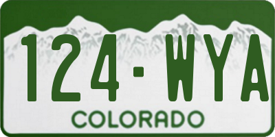 CO license plate 124WYA