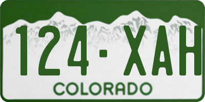 CO license plate 124XAH