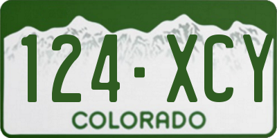 CO license plate 124XCY