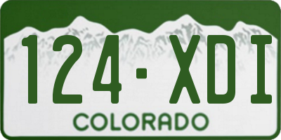 CO license plate 124XDI