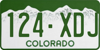 CO license plate 124XDJ