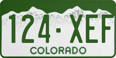 CO license plate 124XEF