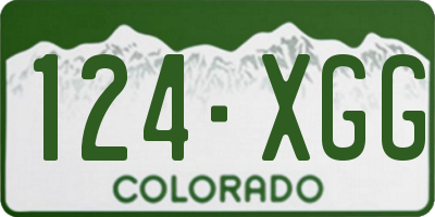 CO license plate 124XGG