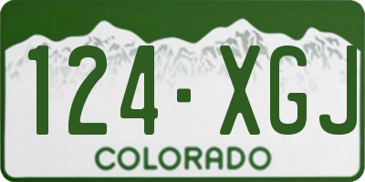 CO license plate 124XGJ