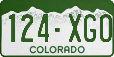CO license plate 124XGO