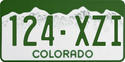 CO license plate 124XZI