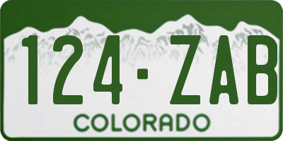 CO license plate 124ZAB