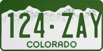 CO license plate 124ZAY