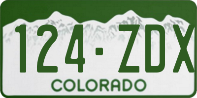 CO license plate 124ZDX