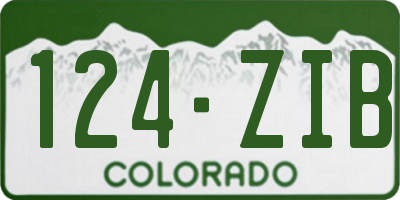CO license plate 124ZIB