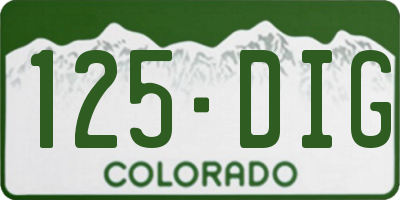 CO license plate 125DIG