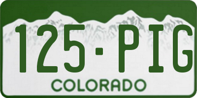 CO license plate 125PIG