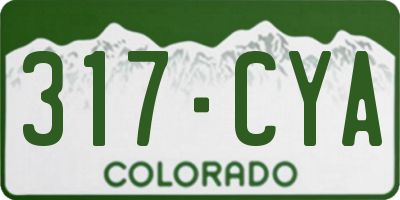 CO license plate 317CYA