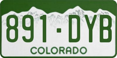 CO license plate 891DYB
